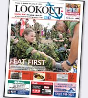 Lookout cover