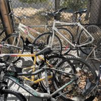 Derelict bike cleanup begins