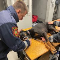 Firefighters ready for pet emergencies