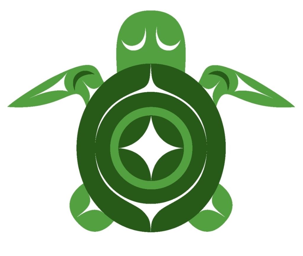 Turtle Island NFT