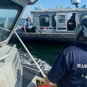 CFMETR and DFO Collaborate to Rescue Whale in Distress