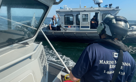 Le CFMETR et le MPO collaborent pour sauver une baleine en détresse