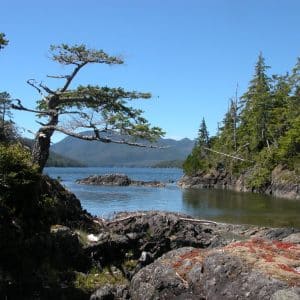 Bligh Island Ties B.C. Coast to International Naval History