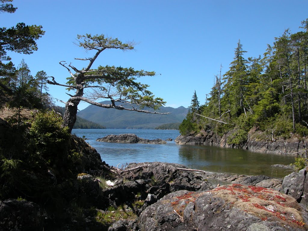 Resolution Cove, captured from Bligh Island, B.C. Photo: Ahoy BC Showcase Directory