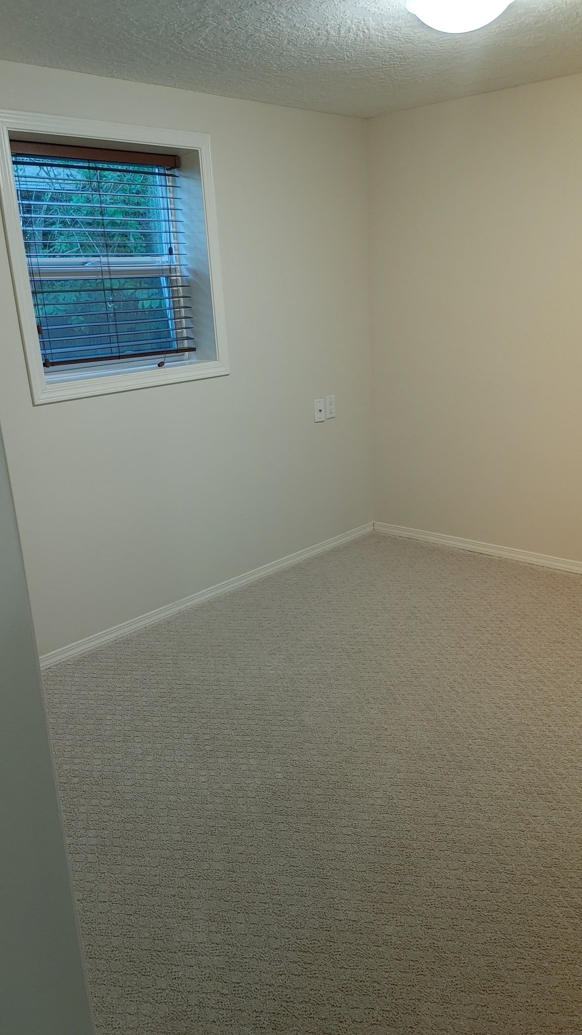 Large 1 Bedroom Basement Suite – 100625