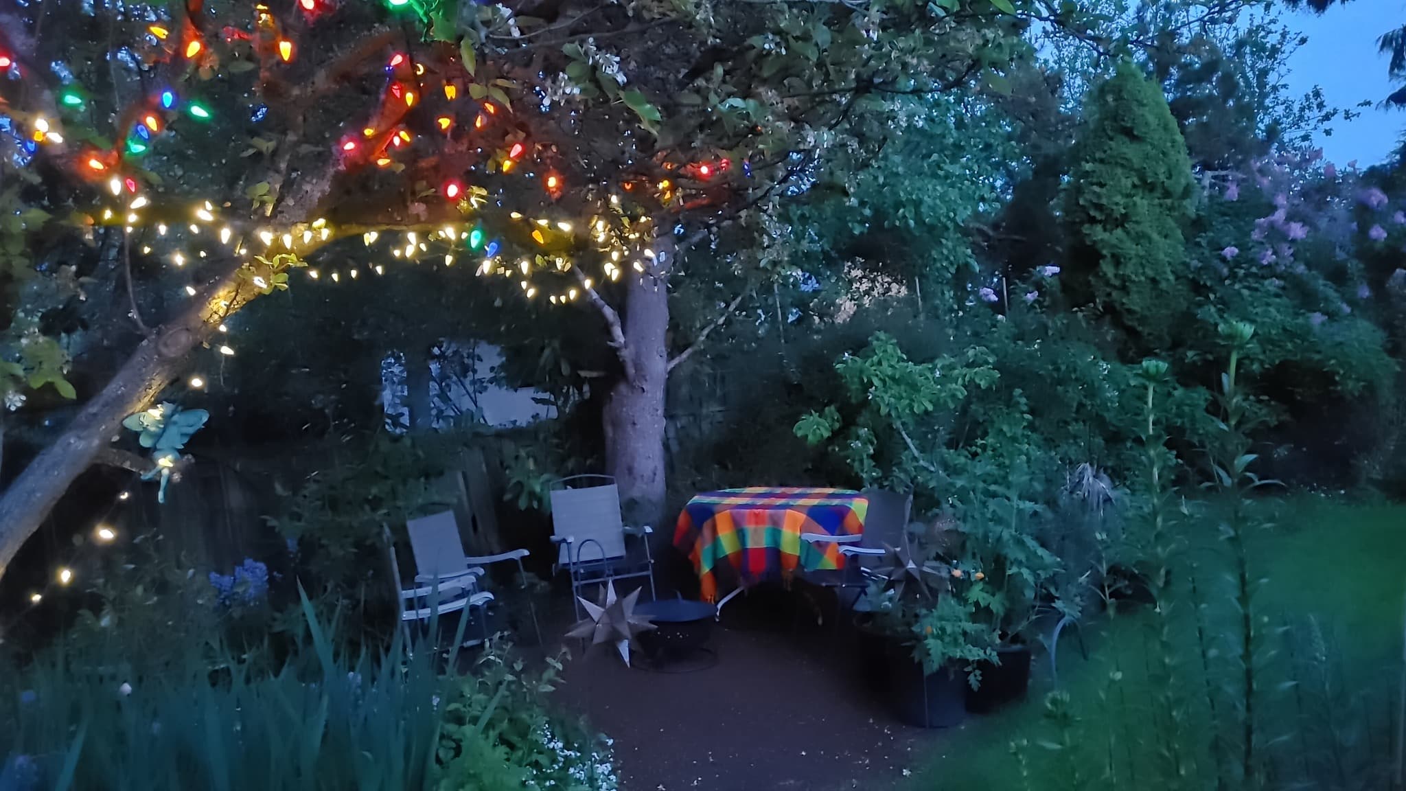 Large 1 Bedroom Basement Suite – 100625